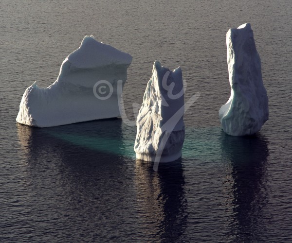 Three tower iceberg in Middle Cove